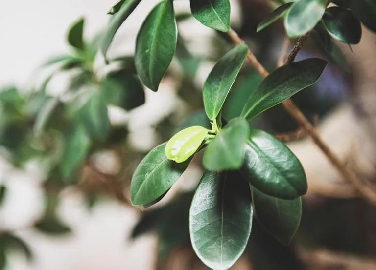 Inspiracje – zdjęcie