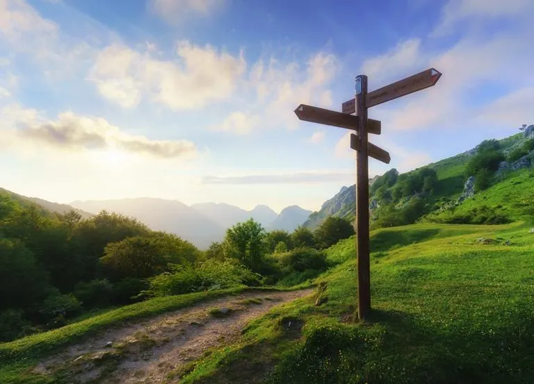 Terapia Ericksonowska – zdjęcie